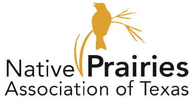 Native Prairies Association of Texas